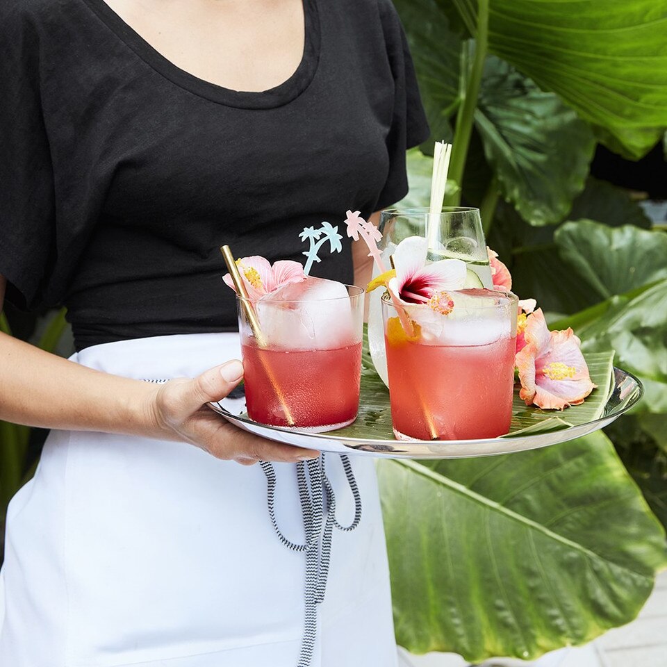 Open Kitchen by Williams Sonoma Tumblers Williams Sonoma Australia